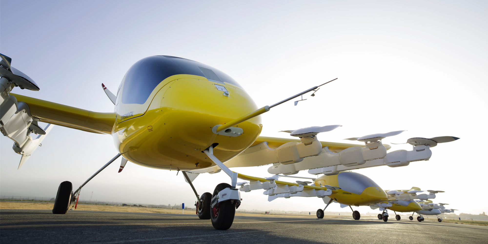 Partnering with Air New Zealand