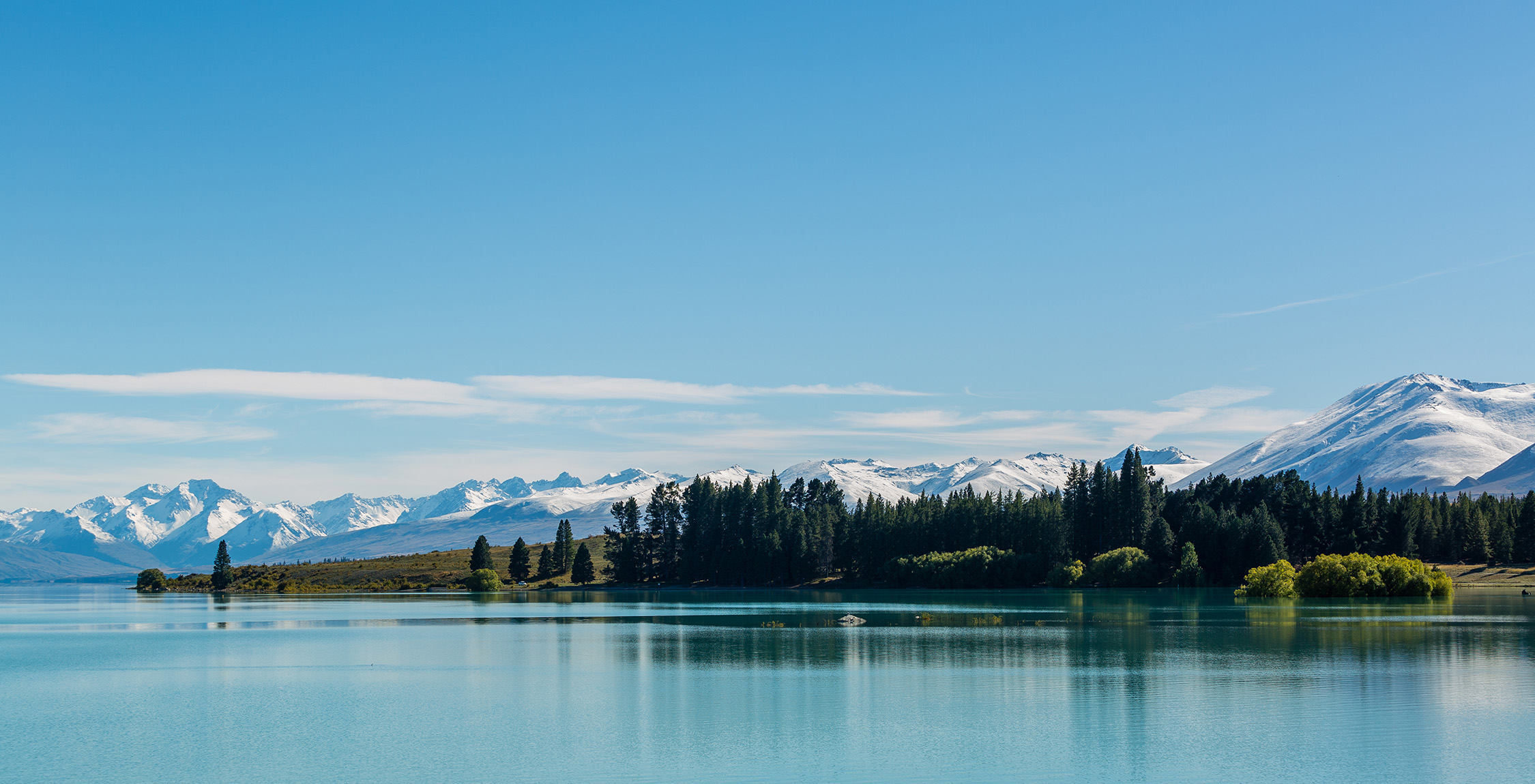 Wisk New Zealand LLC Achieves Net Carbonzero Certification